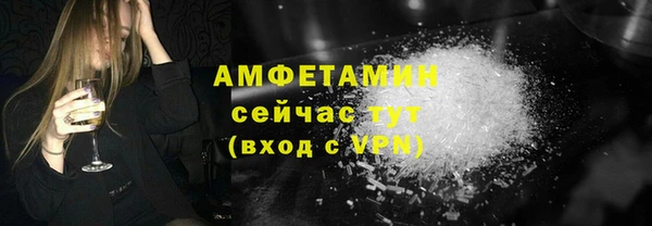 шишки Абаза