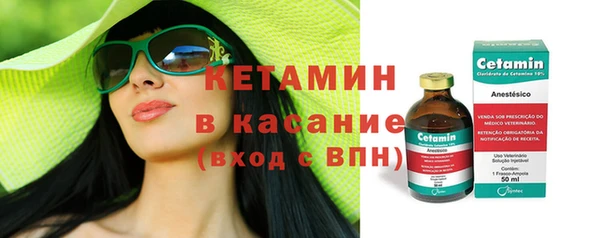 шишки Абаза