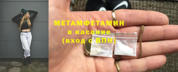 шишки Абаза