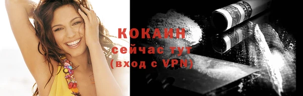 шишки Абаза