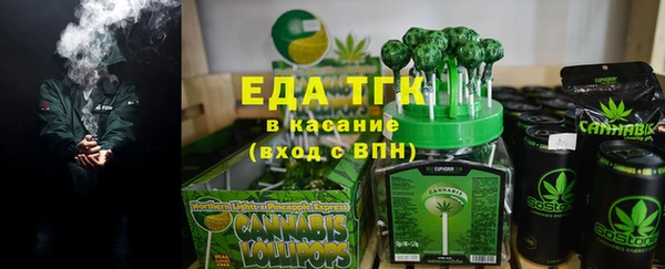 шишки Абаза
