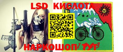 прущие грибы Кандалакша