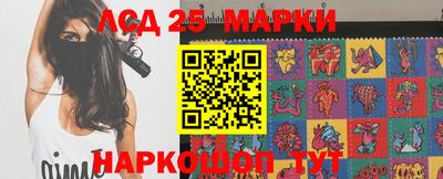 прущие грибы Кандалакша