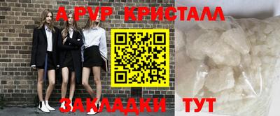 прущие грибы Кандалакша