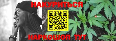 прущие грибы Кандалакша