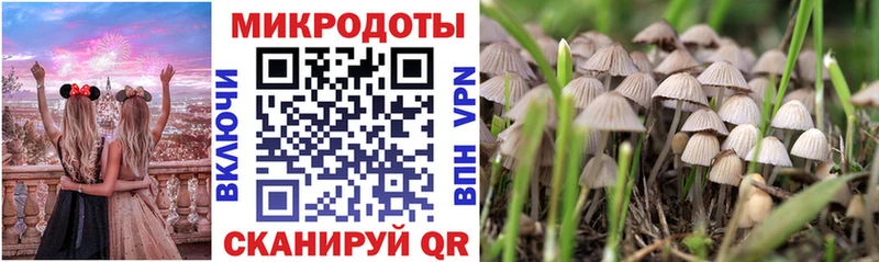 kraken ССЫЛКА  Тейково  Псилоцибиновые грибы ЛСД  магазин продажи наркотиков 